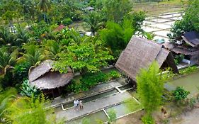 Tropical Jungle Lodge & Jungle Trekking